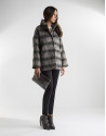 Short gray jacket