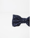 Gray bowtie with beige dots