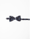 Beige/green checked bowtie with red dots