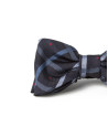 Beige/green checked bowtie with red dots