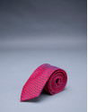 Red - blue motif tie 