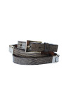 Narrow lizard brown belt golden buckle and applications