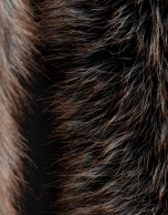 Black maxi scarf combined with a soft collar