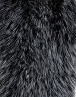 Rounded neck with dark grey fur effect