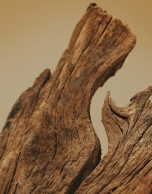 VERINO WOMAN Eau de Parfum Spray 85 ml 