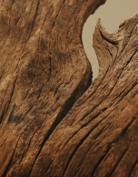 VERINO MAN Eau de Parfum Spray 100 ml 