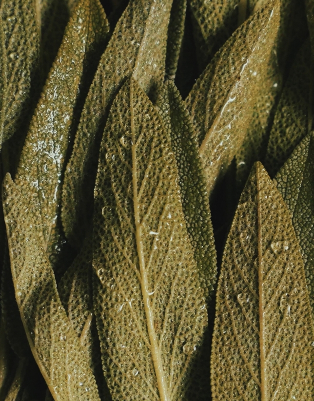 VERINO MAN Eau de Parfum Spray 100 ml 